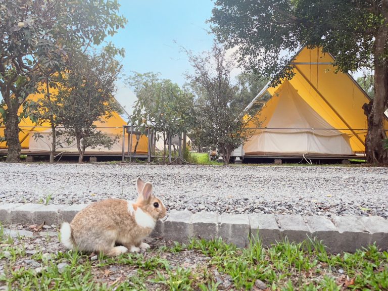 露悠悠Glamping｜一泊二食與貨櫃酒吧，享受chill奢華露營體驗