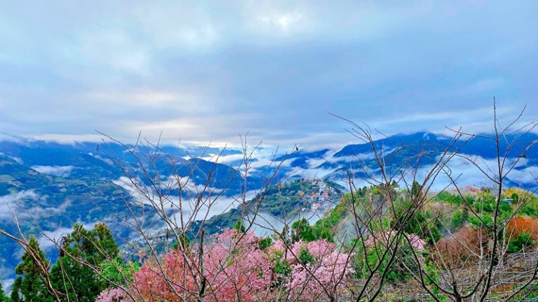 【桃園十大雲海露營推薦】木村的家露營區