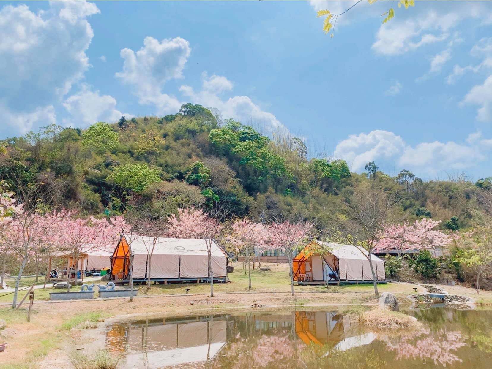 【2025溫泉露營推薦】遠山望月溫泉風呂露營區