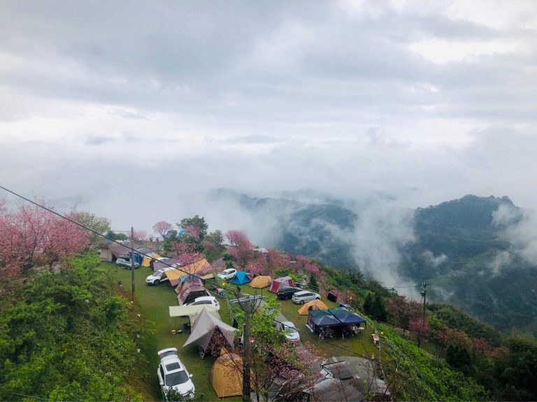 【苗栗泰安熱門露營區】司馬限雲端果園露營區