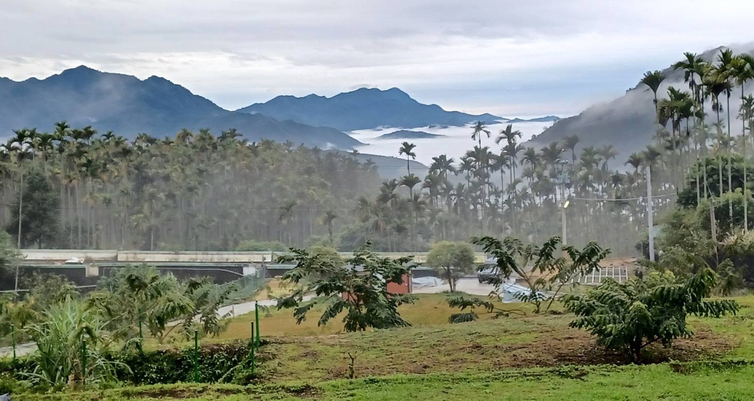 嘉義露營秘境｜阿里山草堂露營度假村