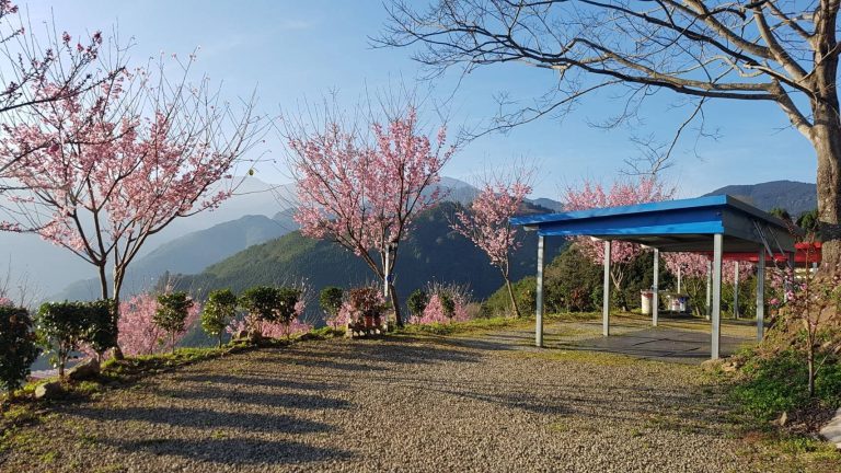 新竹露營推薦#10【四季露營區】 新竹露營推薦#10【四季露營區】