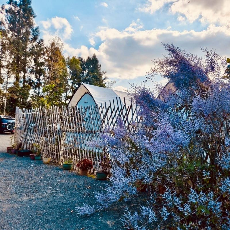 日月潭船室五帳 懶人露營 圖片