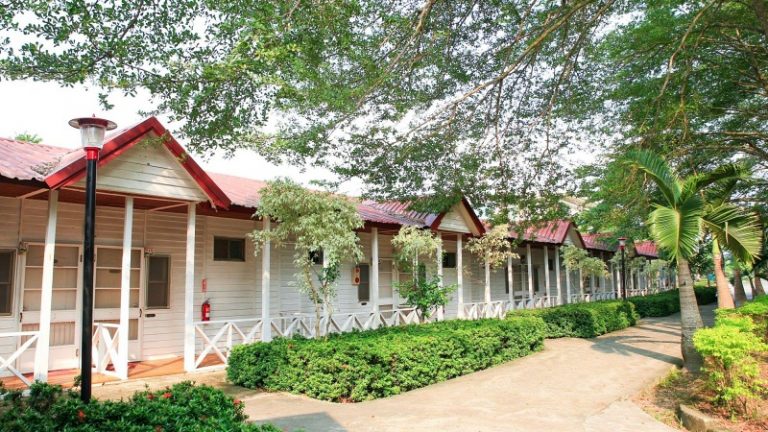 中南部小木屋、特色住宿|精選五大露營區推薦 中南部小木屋、特色住宿|精選五大露營區推薦