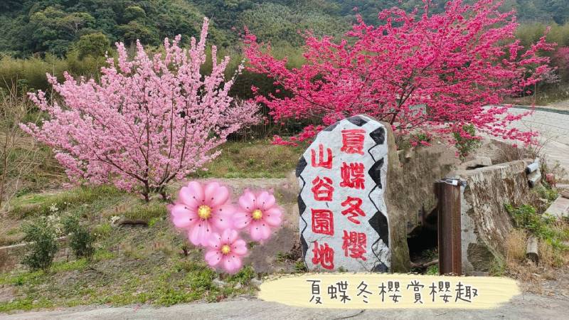 夏蝶冬櫻山谷園地