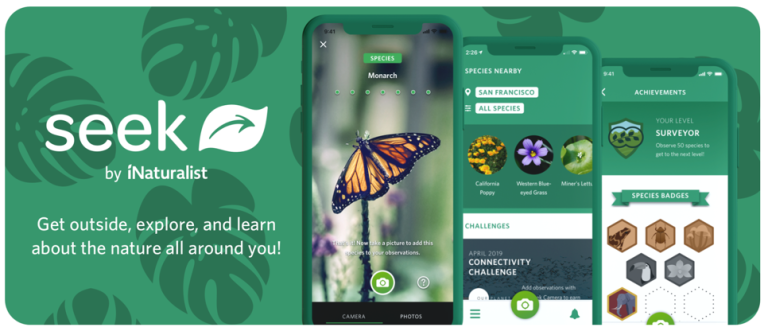 Seek by iNaturalist-app