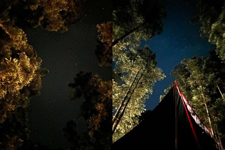 晨境森林露營區星空