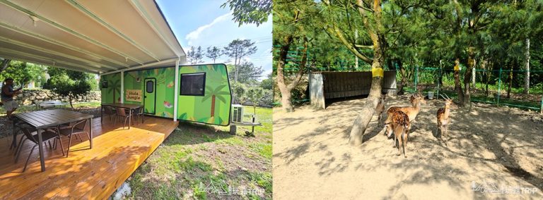 露營車住宿推薦|南投埔里-TEN CARS 露營車度假莊園