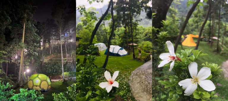 油桐花露營區|苗栗|晨境森林露營區