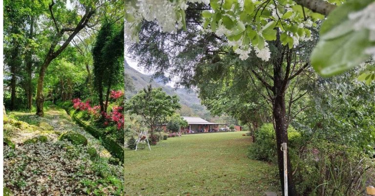 油桐花露營區|桃園|奎輝營地