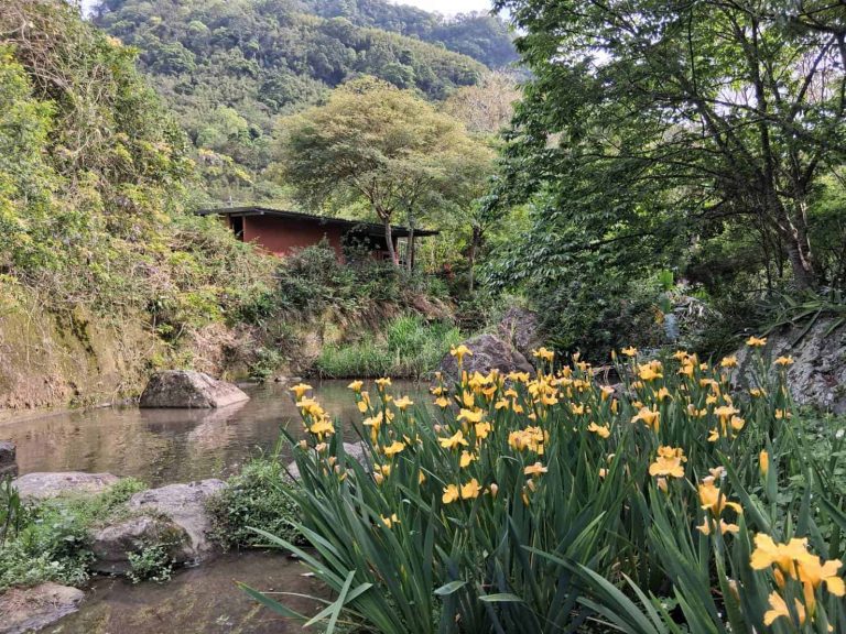 油桐花露營區|桃園|奎輝營地