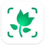 picture this-app
