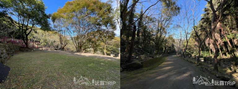 苗栗|泰安覓境|原民風格X森林系賞螢秘境